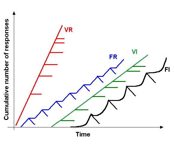 166617940399022_13.png 166617940399022_13.png