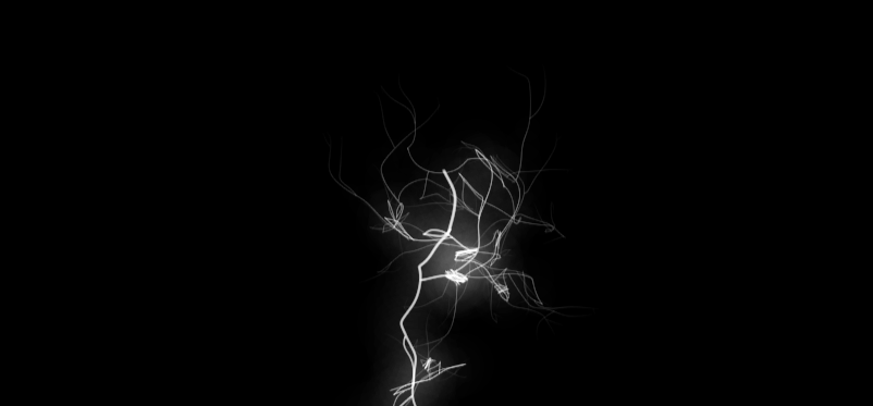 1669473412963806_1.gif