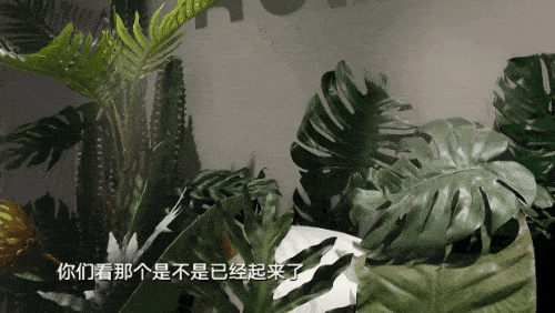1670813738402383_2.gif