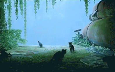 1676546193821307_1.gif