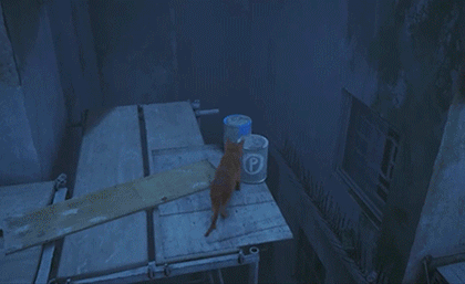 1691480854955193_10.gif 1691480854955193_10.gif